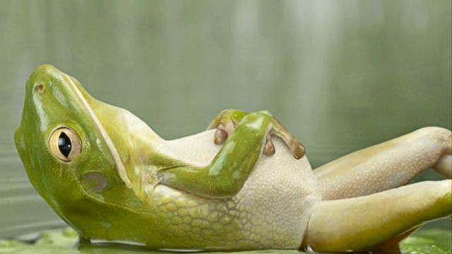 В траве сидел кузнечик смотреть онлайн