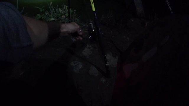 #Кудиново#Карп#Михалыч Еду на ночную Рыбалку в Кудиново . Забыл все Документы . смотреть онлайн