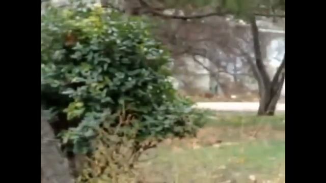 "Не чувствовала себя ? женщиной..." Что означает, как понять загадочную женскую фразу? смотреть онлайн