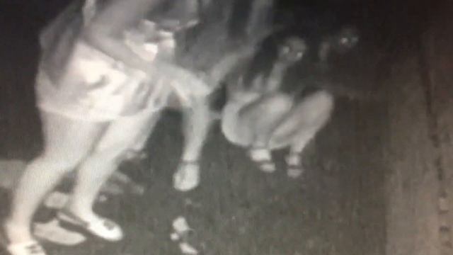 Как произвести впечатление на персонал квеста смотреть онлайн