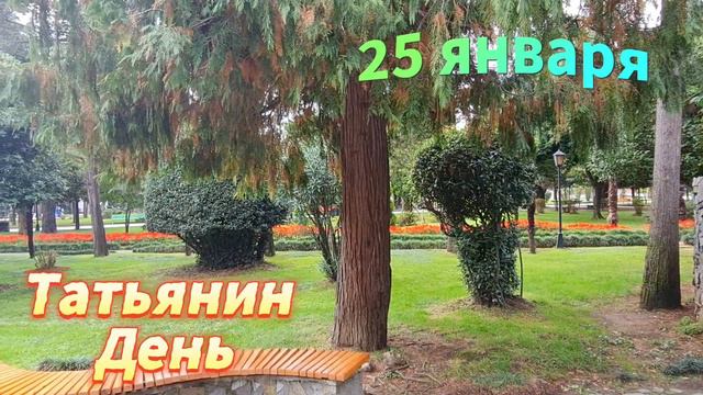 Что можно и нельзя на Татьянин День. Главные приметы и запреты на 25 января смотреть онлайн