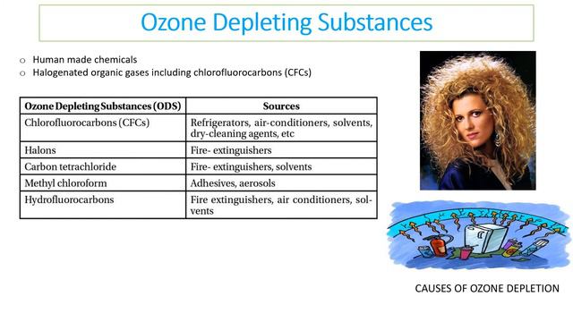 Mr Phillips IB ESS 6.2 Ozone смотреть онлайн