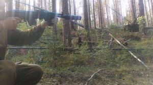 Дтк закрытого типа от ниггурата (Красноярск)