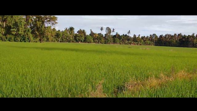 SJRC F11 4K PRO CINEMATIC VIDEO LUPON DAVAO ORIENTAL смотреть онлайн