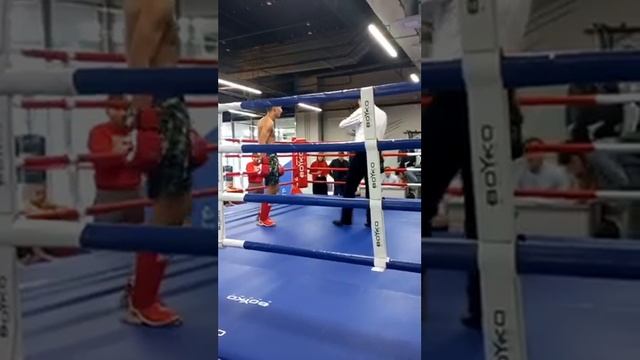 Панкратов-Курбанов.mp4 смотреть онлайн