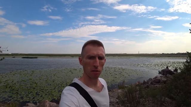 Тайны Кронштадта! смотреть онлайн