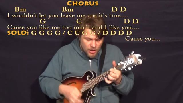 You Like Me Too Much (The Beatles) Mandolin Cover Lesson with Chords/Lyrics смотреть онлайн