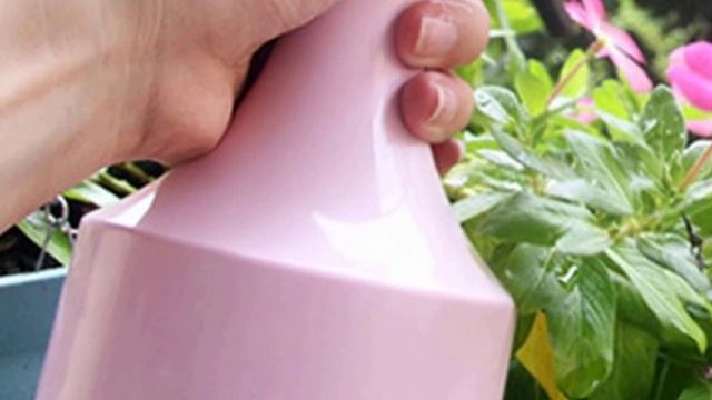 Как и чем опрыскивать комнатные цветы и растения. смотреть онлайн