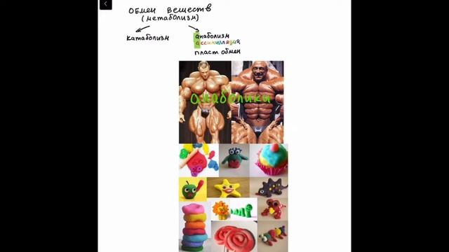 Фитнес-практики для мышц