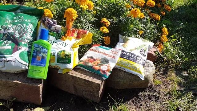 Органические удобрения или минеральные удобрения? Вечный вопрос - что лучше? смотреть онлайн