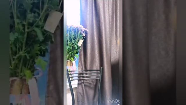 Как посчитать финансовый код и инструкция