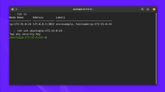 Teleport - Multi-Factor SSH and Kubectl Authentication смотреть онлайн