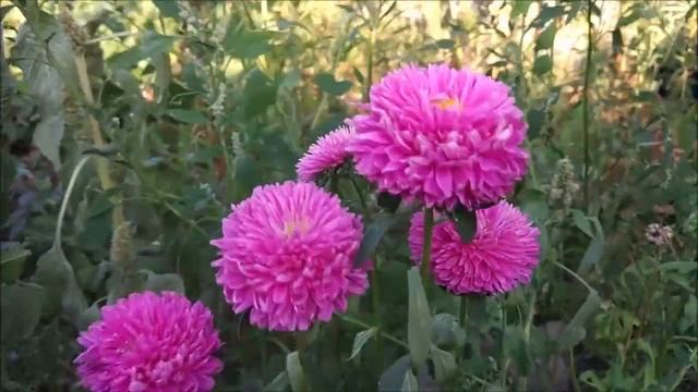 Экскурсионный рассказ, его характеристика и методические приемы. смотреть онлайн