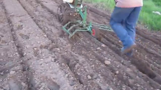 Борона для мотоблока в работе