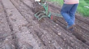 Борона для мотоблока в работе