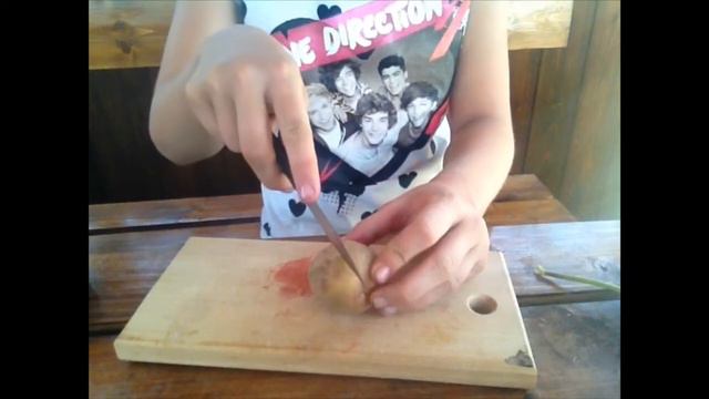 Чим я годую соїх морських свинок?My pets смотреть онлайн