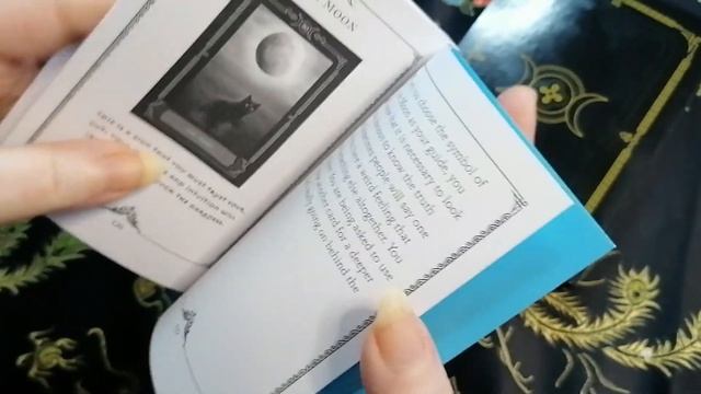 Wisdom of The House of Night Oracle Cards Unpacking & Review - Book Series - Vampyre Nyx - Tarot смотреть онлайн