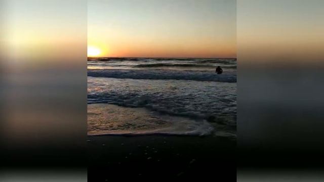 Можно ли купаться в шторм? Черное море прекрасно и в бархатный сезон смотреть онлайн