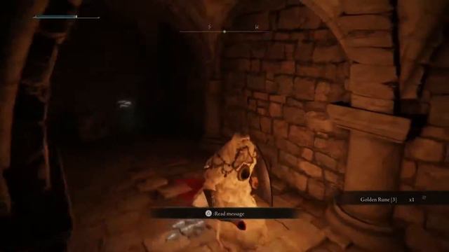 Elden Ring: Cliffbottom Catacombs All Collectibles (Grave Glovewort [2] & [3]) смотреть онлайн