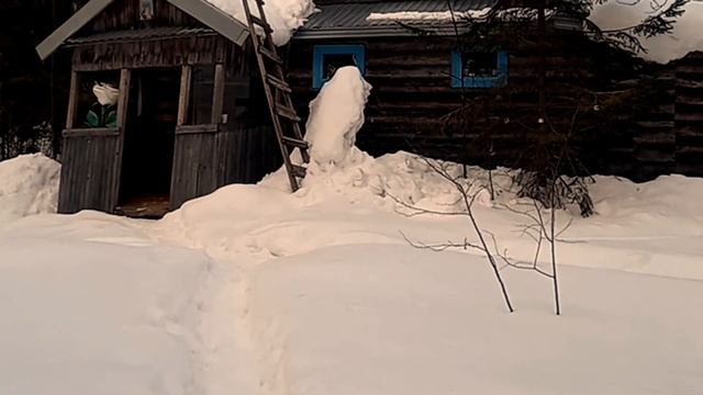 Патриотический стих...Виват моя Россия. читает автор смотреть онлайн