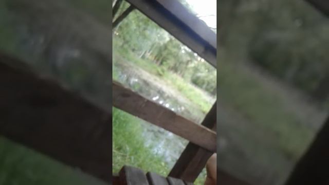 В "Пятёрочке" убрали камеры хранения - LP смотреть онлайн