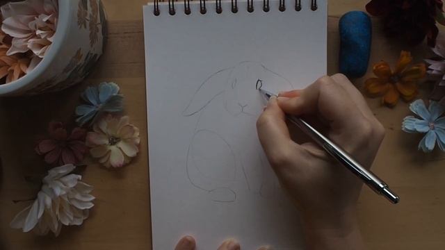 How to Draw Bunnies! 3 super cute rabbits you can draw right now! смотреть онлайн