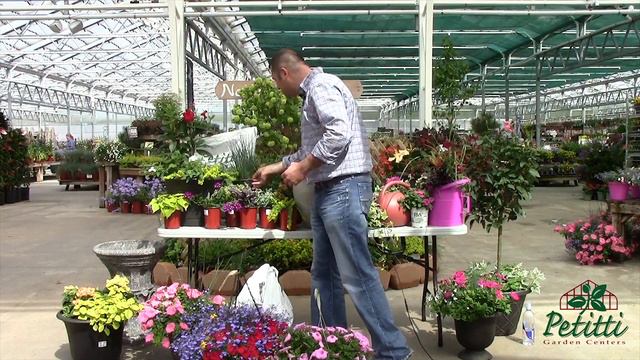 PETITTI Container Gardening
