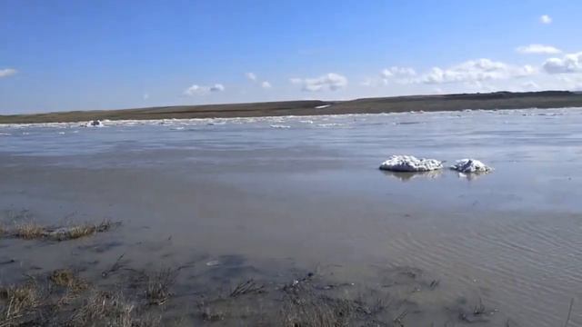 Новоишимка, река Ишим, ледоход 2020 - Novoishimskiy Ice Drift 9 04 2020 смотреть онлайн