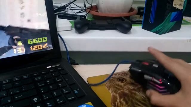 Обзор мышки ZTLOTES T-80 BIG MAC