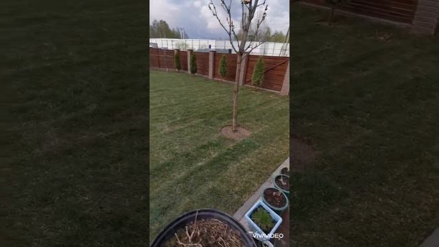 Ландшафтный дизайн смотреть онлайн