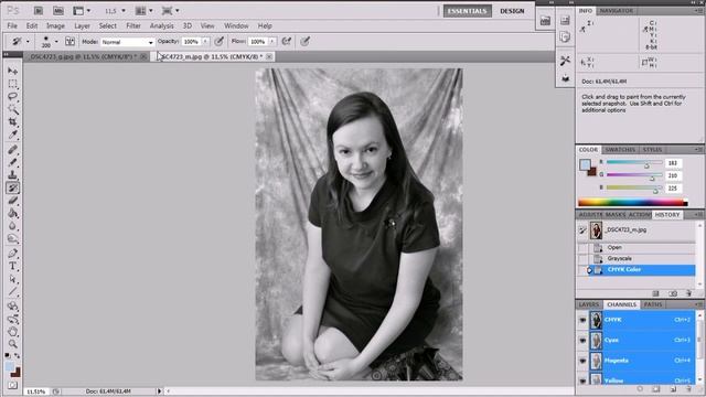 Уроки PhotoShop. Создание серого изображения в палитре CMYK. смотреть онлайн