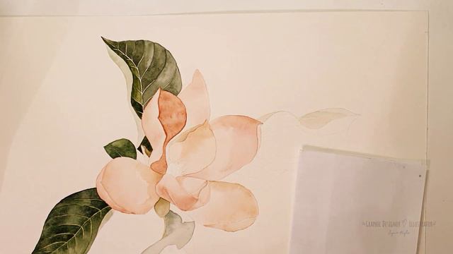 SPEEDPAINT | #6 Watercolor Magnolia смотреть онлайн