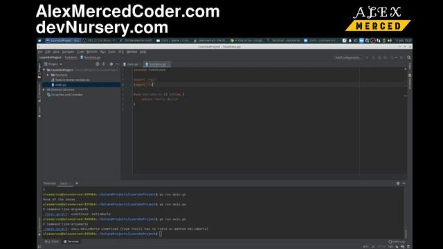 AM Coder - Intro to Golang/Goland #4 - Packages and Functions смотреть онлайн