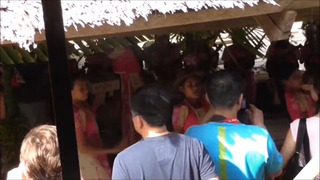 Bohol Tourist Loboc River Cruise & Philippine Tarsier смотреть онлайн