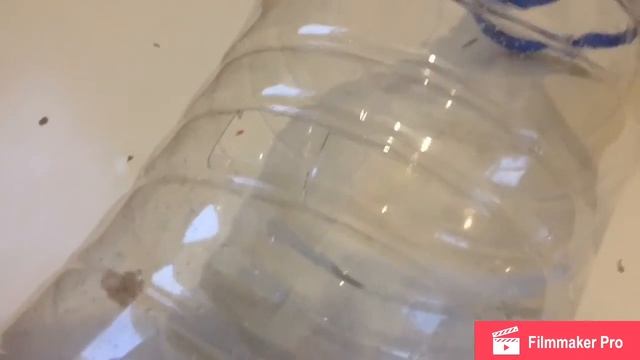 Как сделать временную клетку для хомяка смотреть онлайн