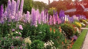 ?Благоустройство садового участка Идеи ландшафтного дизайна / Garden Ideas / A - Video