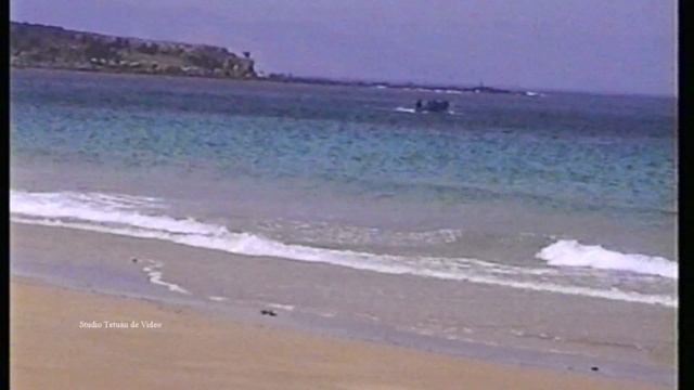 Digital Video Camera Recorder #camcorder #dvcamera #sonyhadycam #hi8 #فيديو8مم