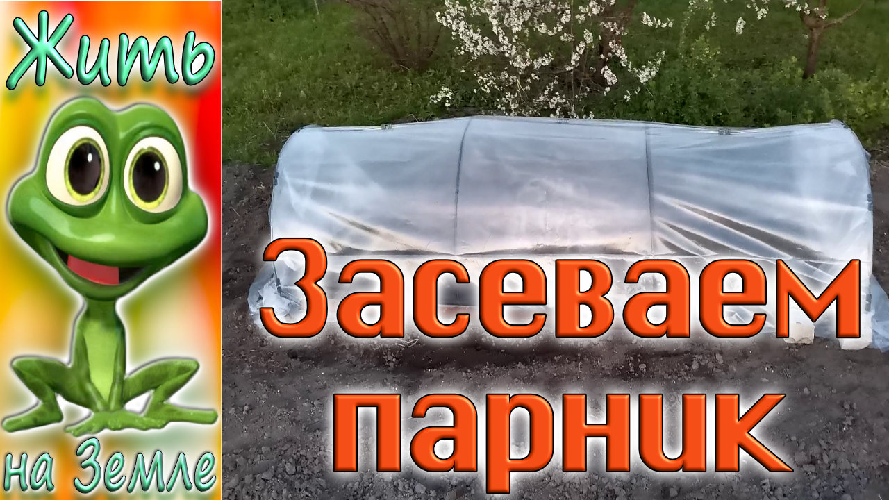 ДЕДОВСКИЕ СЕКРЕТЫ. Высаживаем семена в парник.