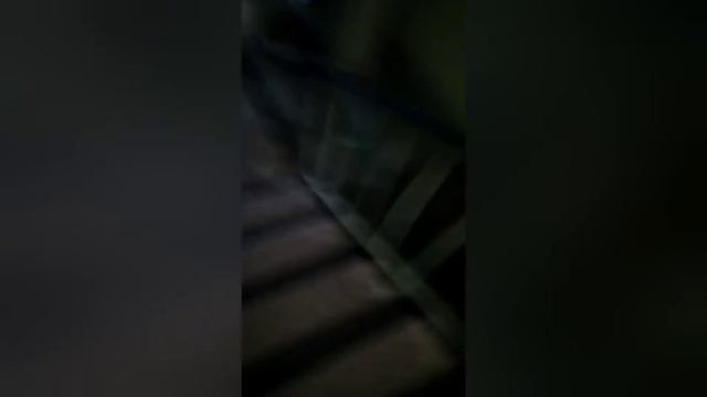 Если бы видео которое я снял 2 недели назад было бы человеком смотреть онлайн