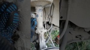 замена стабилизатора на сузуки гранд витары