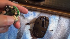 КАК сделать бесшумную мышь - ЛУЧШИЙ СПОСОБ !!!