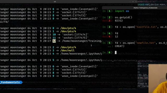Linux command-line: Gather list of open files using a script-friendly technique смотреть онлайн