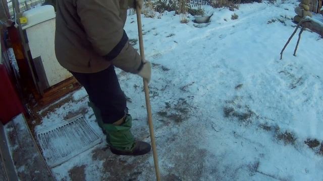 утепляем саженцы лапником дача под Архангельском смотреть онлайн