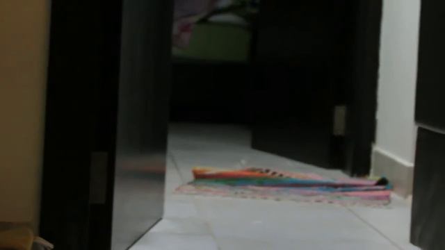 превращение кота в собаку!!!