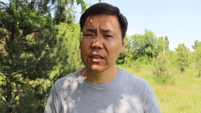 Программист эмне жумуш кылат? смотреть онлайн