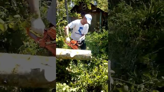 Бензопила "Ударник" смотреть онлайн