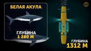 Как выглядит путешествие внутрь . Марианской впадины