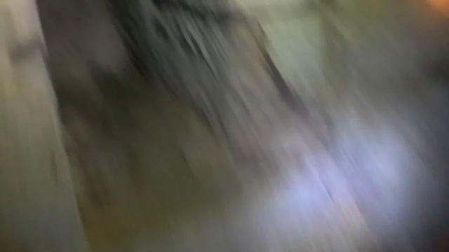 Заброшенная усадьба смотреть онлайн