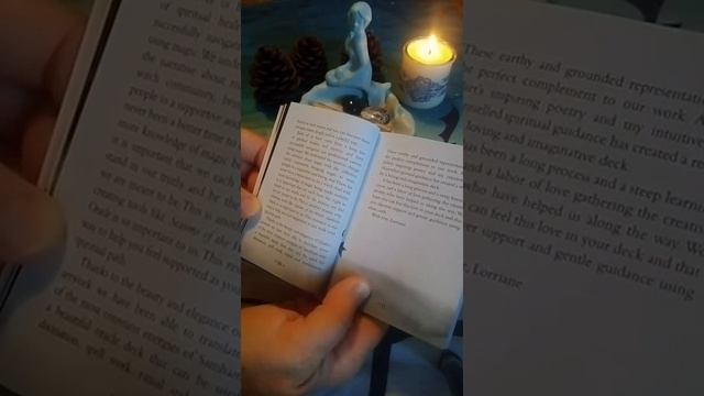 Seasons of The Witch Samhain Oracle Deck Unboxing Flip Through & 3 Card Sample Spread смотреть онлайн