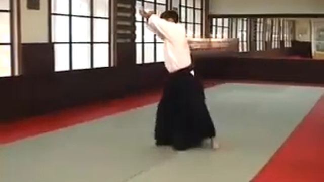 Real Aikido айкидо перемещения, кувырки